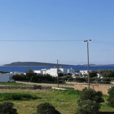 Paro's King Luxury A1 アパート